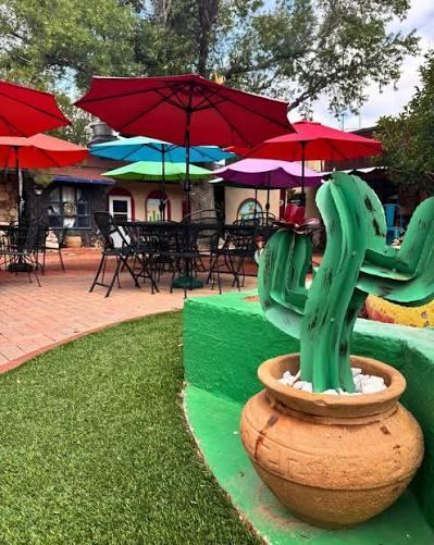 El Fenix Cafe patio with colorful umbrellas and a cactus